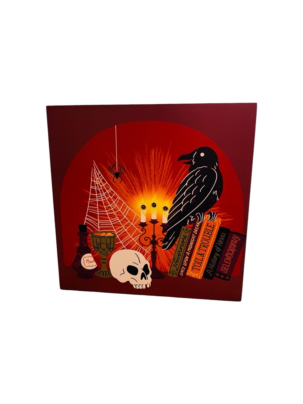 Spooky Raven Academia Table Decor - Picture 3 of 5